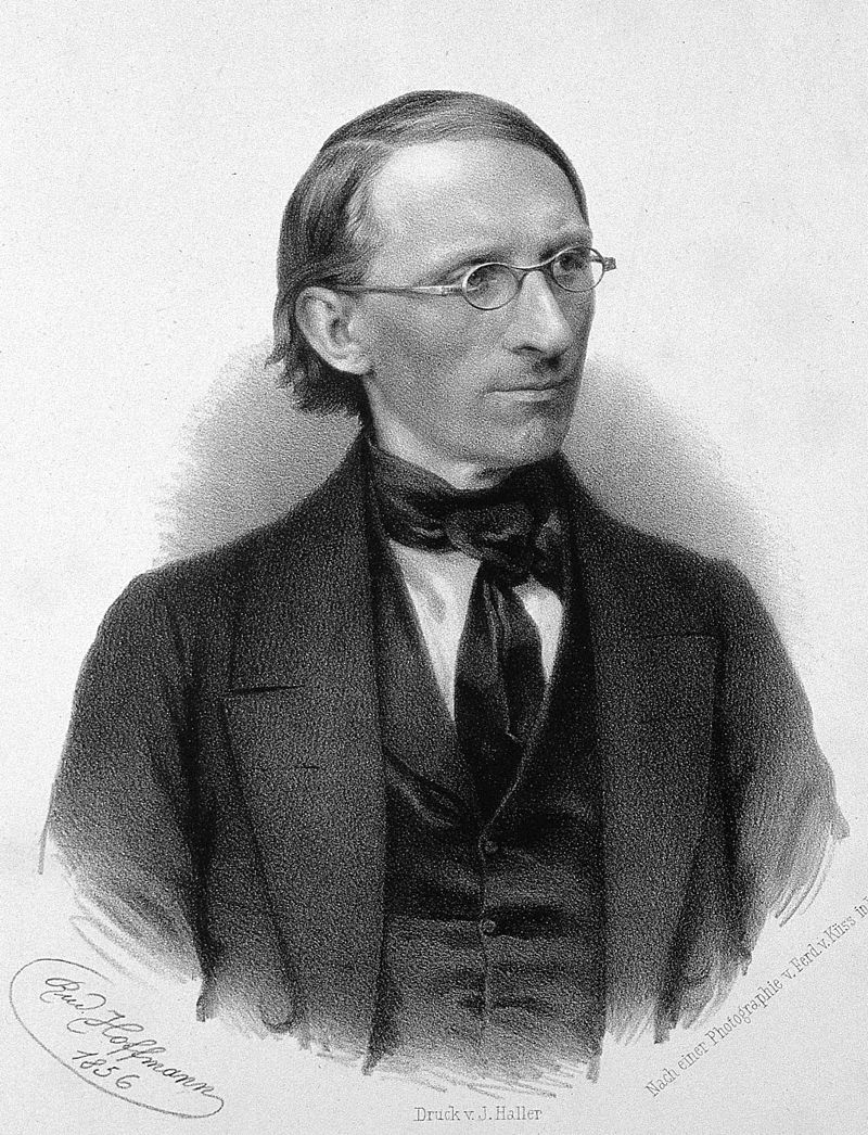 colleague: Carl Friedrich Wilhelm Ludwig