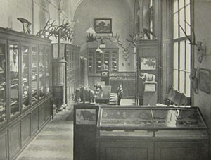 Gallery of Othenio Abel