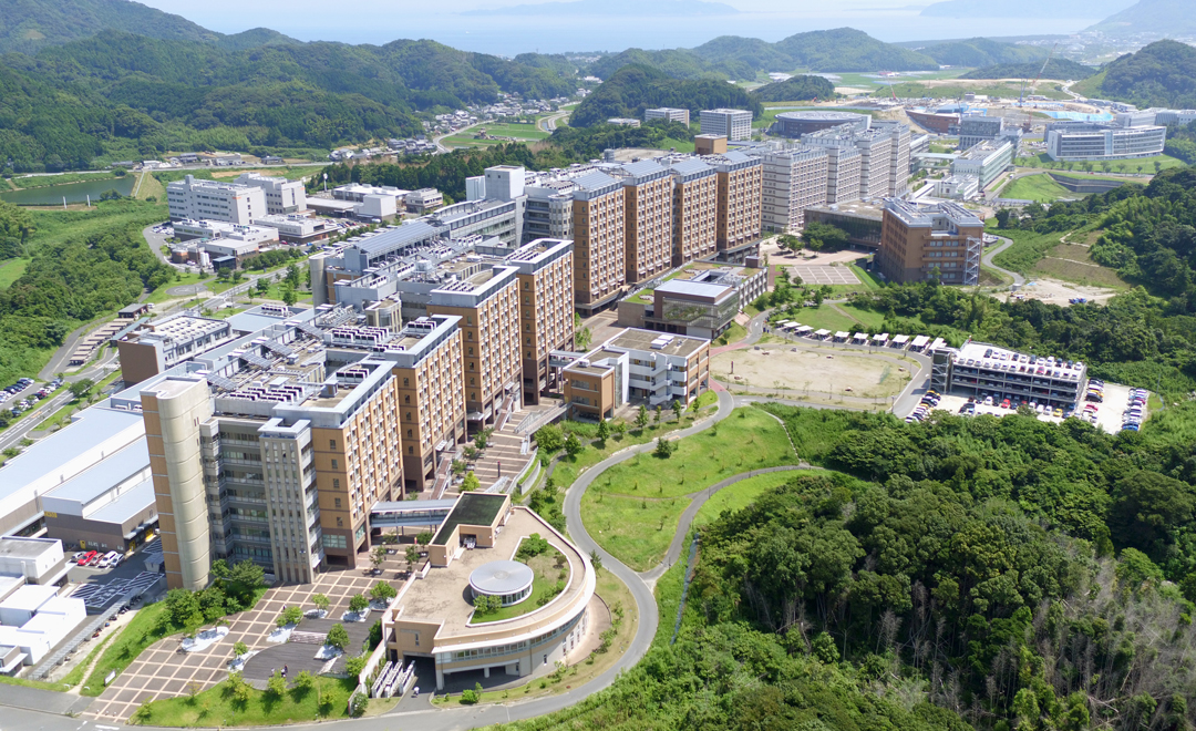 Gallery of Minoru Yamada