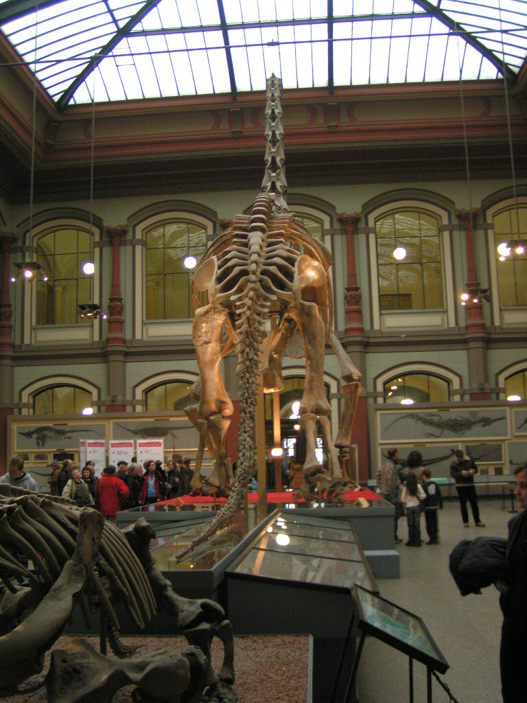 Gallery of Otto von Abich