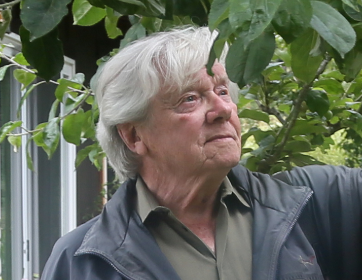 Lewis Ellingham