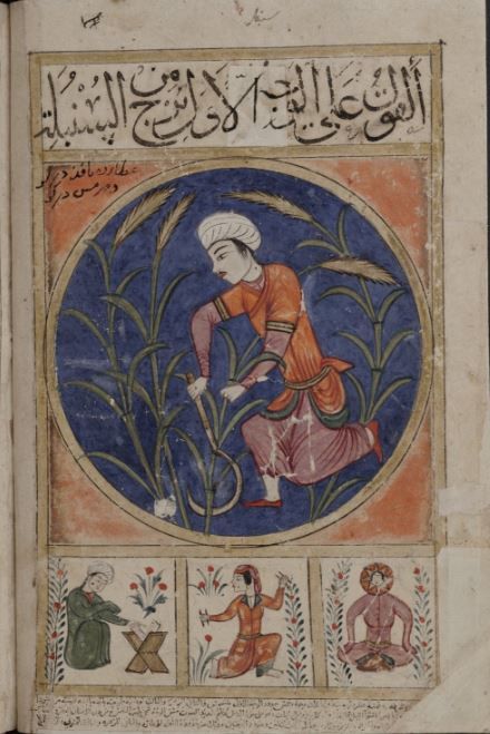 Gallery of Abu Mashar