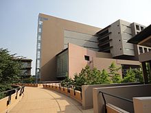 Gallery of Katsusaburo Yamagiwa
