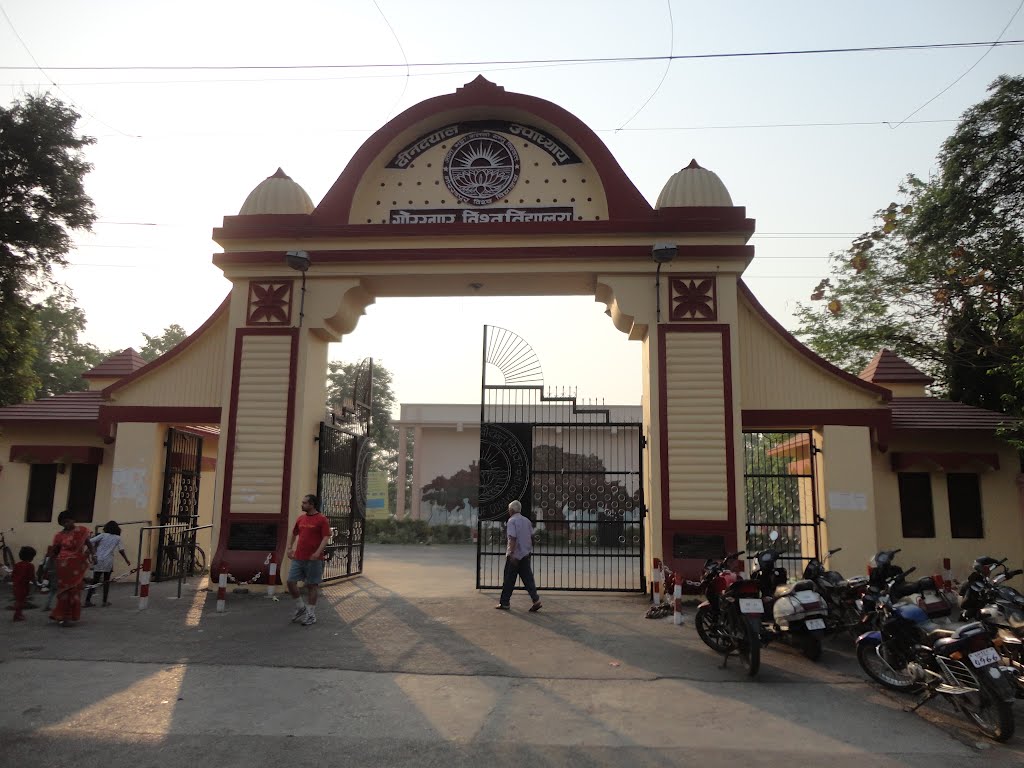 Gallery of Usha Nath Chatterjl