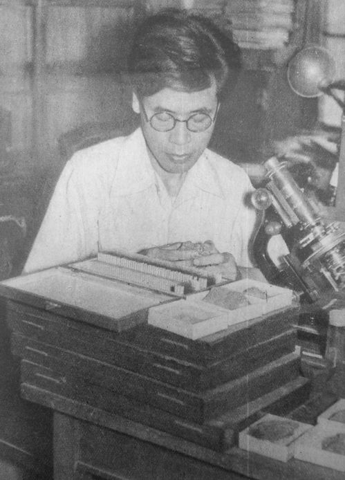 Hiromichi Tsuya