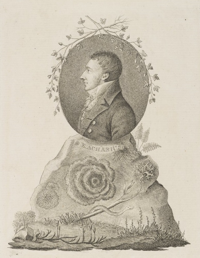 Gallery of Erik Acharius