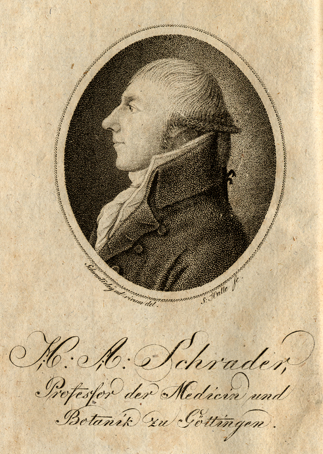 associate: Heinrich Adolph Schrader