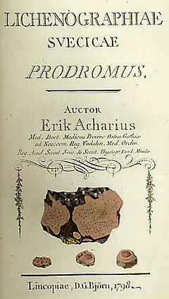 Gallery of Erik Acharius