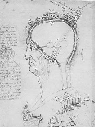 Gallery of Alessandro Achillini