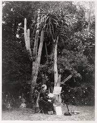 Gallery of Marianne North