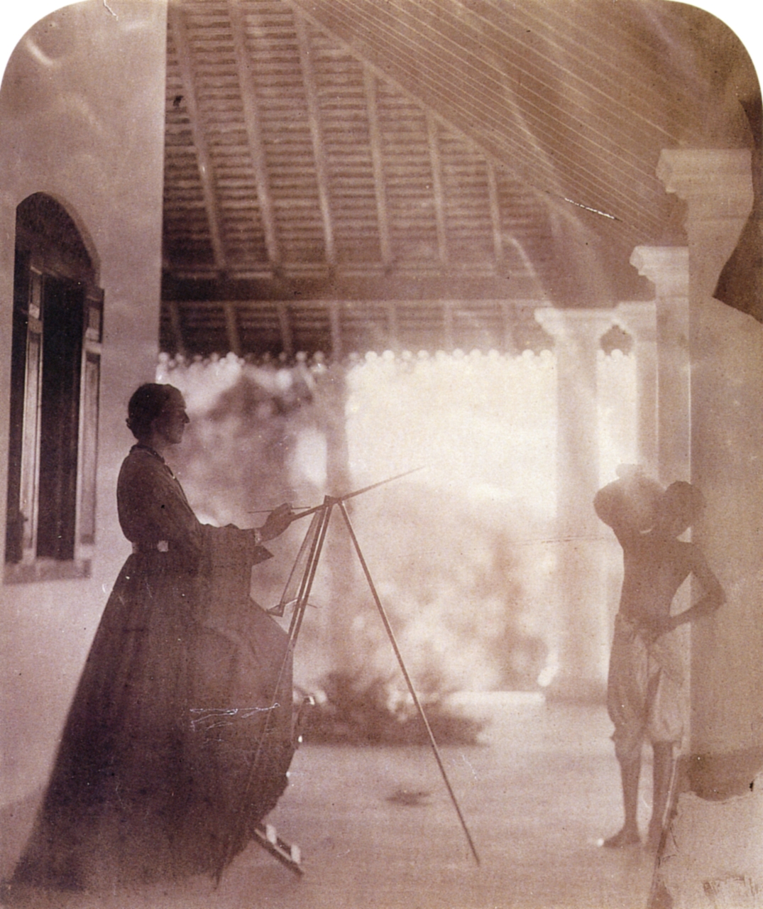 Gallery of Marianne North