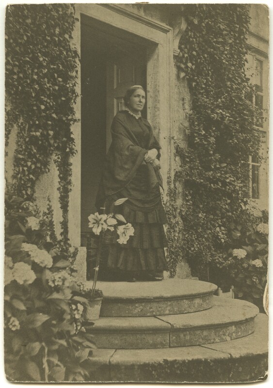 Gallery of Marianne North
