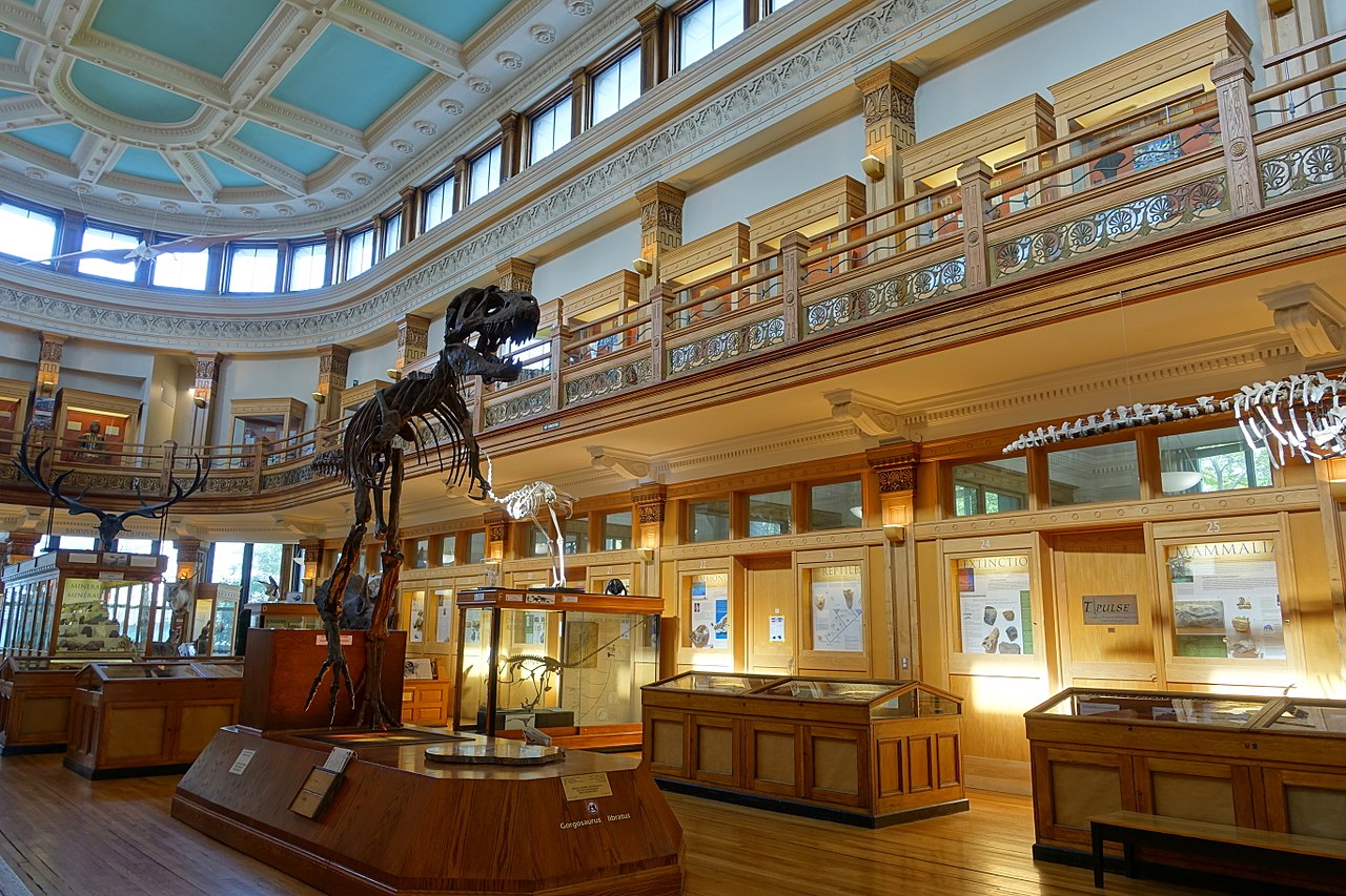 Gallery of Frank Adams