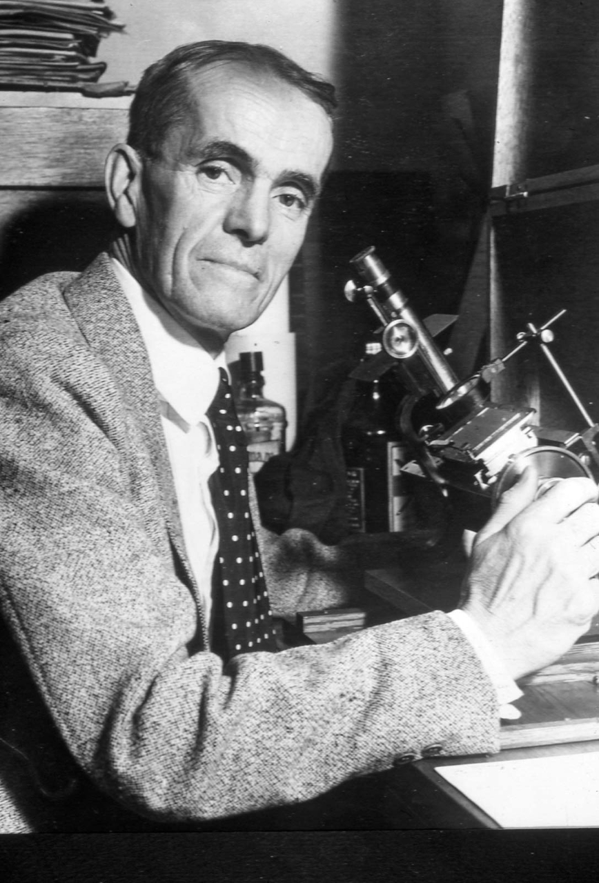 Walter Adams