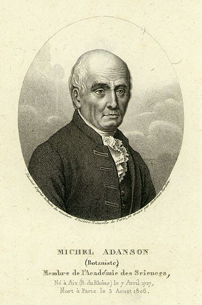 Michel Adanson