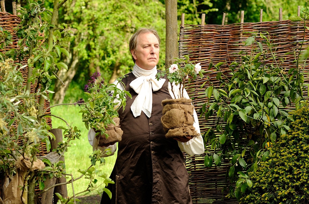 Gallery of Alan Rickman