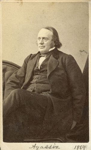 Gallery of Jean Agassiz