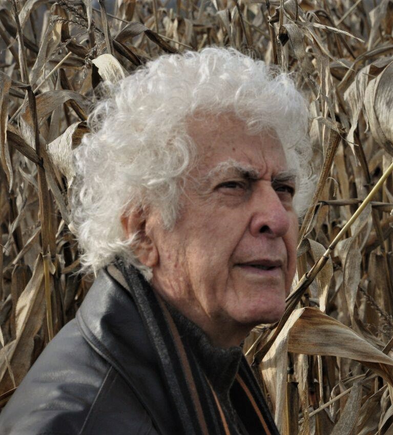 Gholamhossein Nami