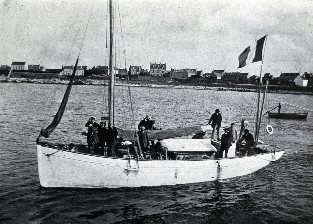 Gallery of Yves Delage