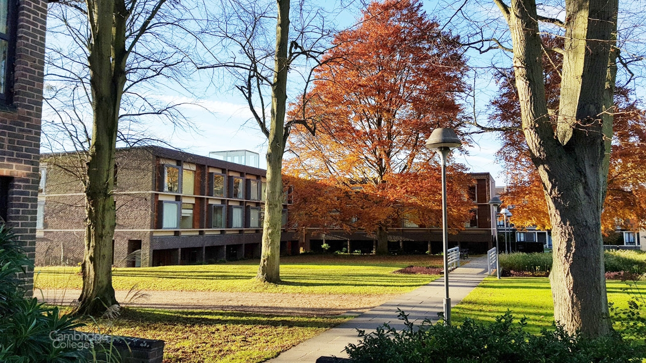 Education period of Larry Elliott in Fitzwilliam College