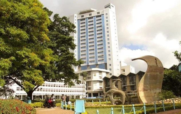 Gallery of Wanjiku Kabira