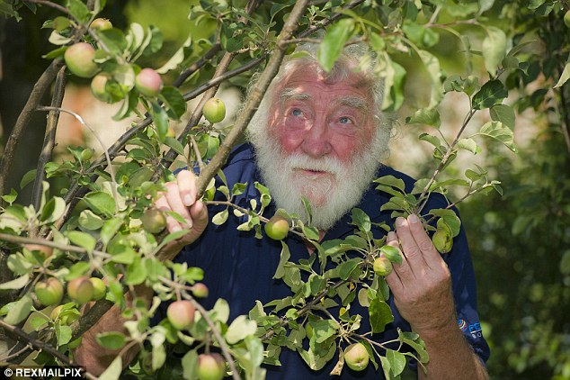 Gallery of David Bellamy