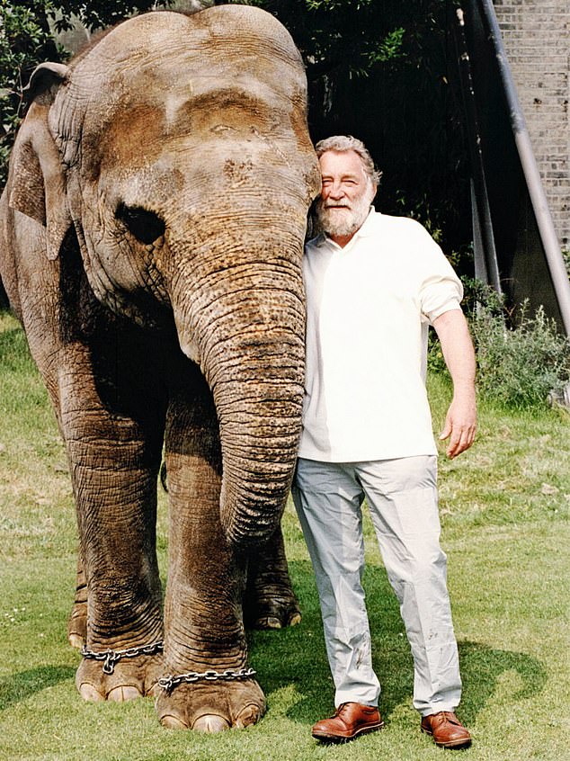 Gallery of David Bellamy