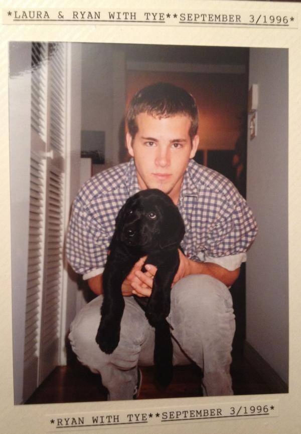 Gallery of Ryan Reynolds