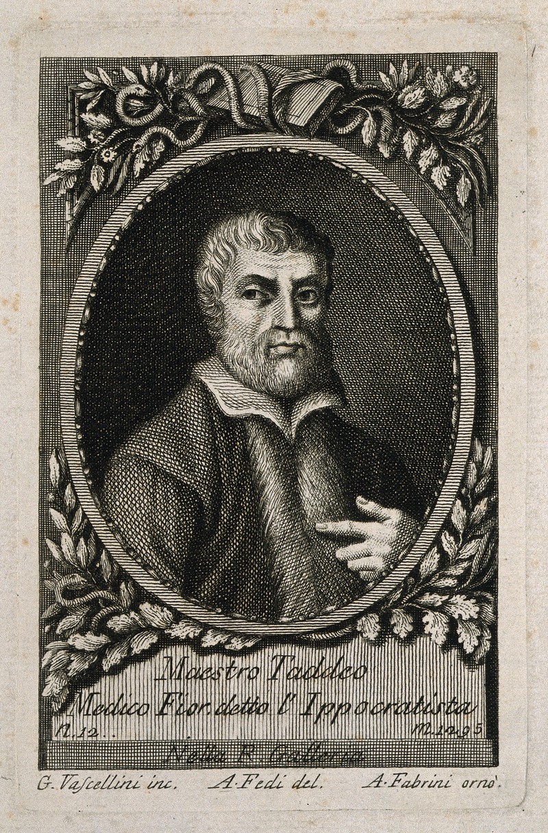 Taddeo Alderotti