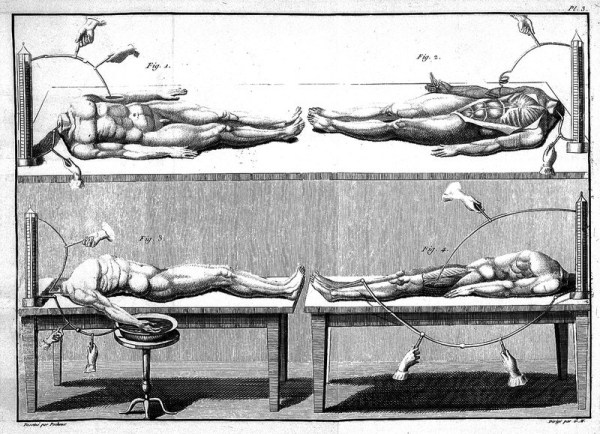 Gallery of Giovanni Aldini