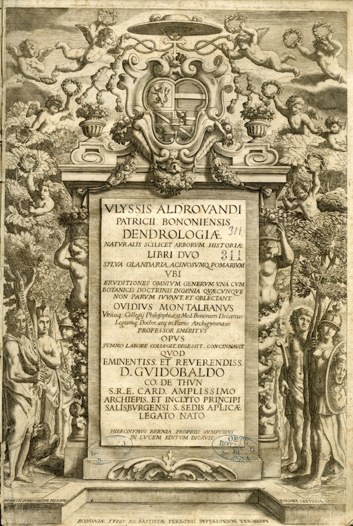 Gallery of Ulisse Aldrovandi