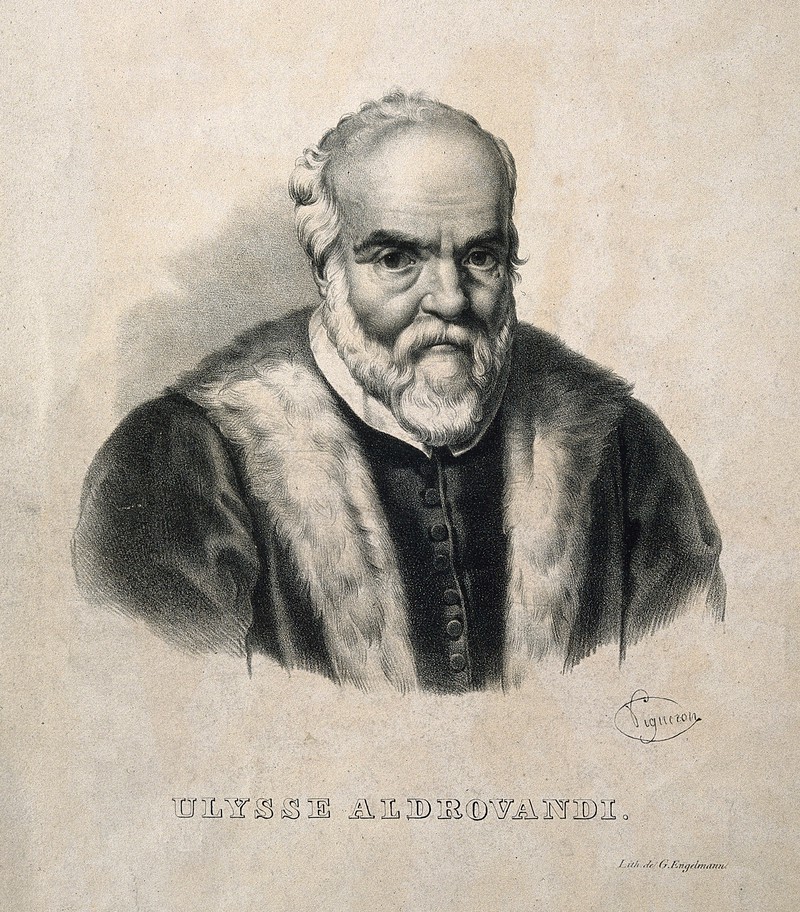 Ulisse Aldrovandi