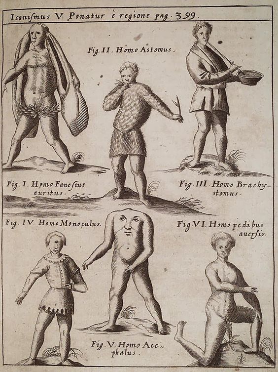 Gallery of Ulisse Aldrovandi