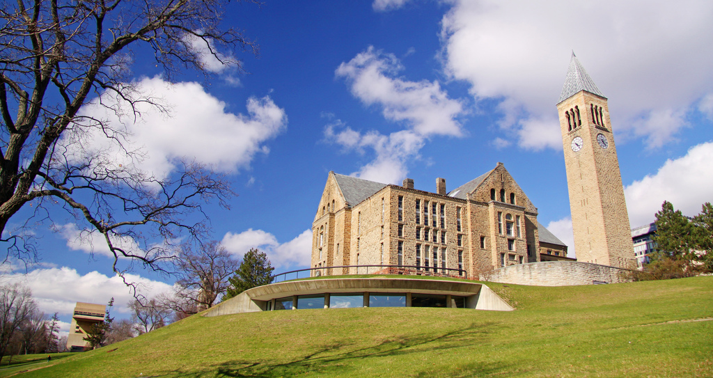 Education period of Phil Herbst in Cornell University