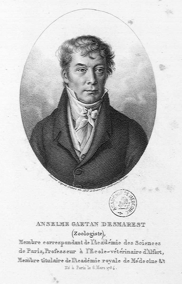 Son: Anselme Gaëtan Desmarest