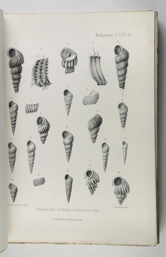 Gallery of Gérard Deshayes