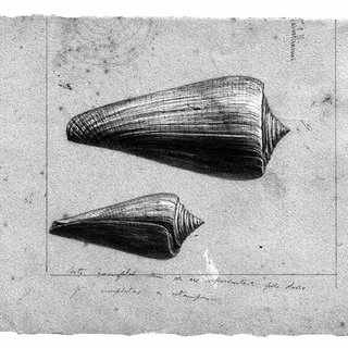 Gallery of Gérard Deshayes