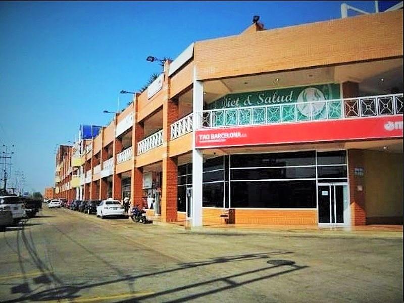 Gallery of Oswaldo Vigas