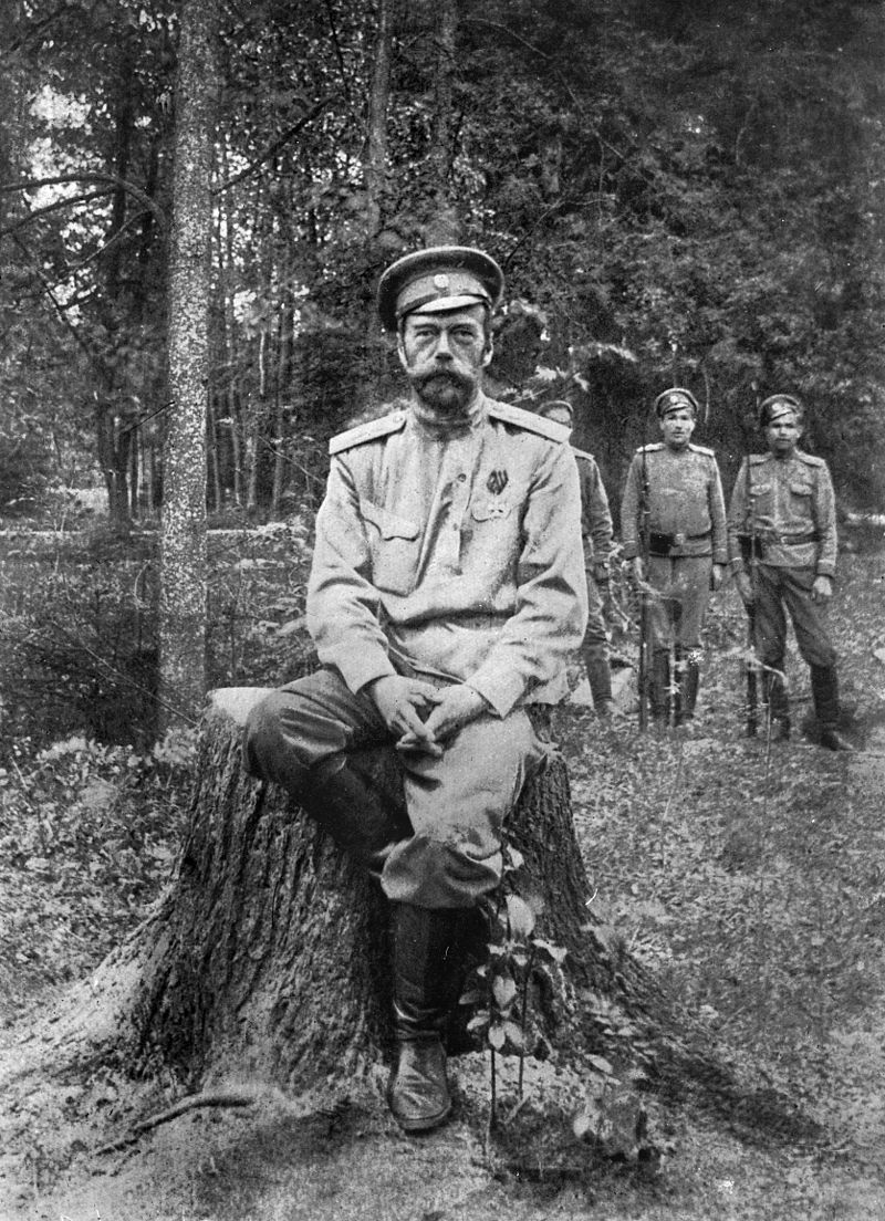 Career period of Nicholas II in career