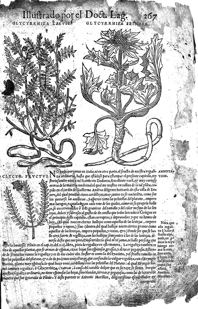 Gallery of Pedanius Dioscorides