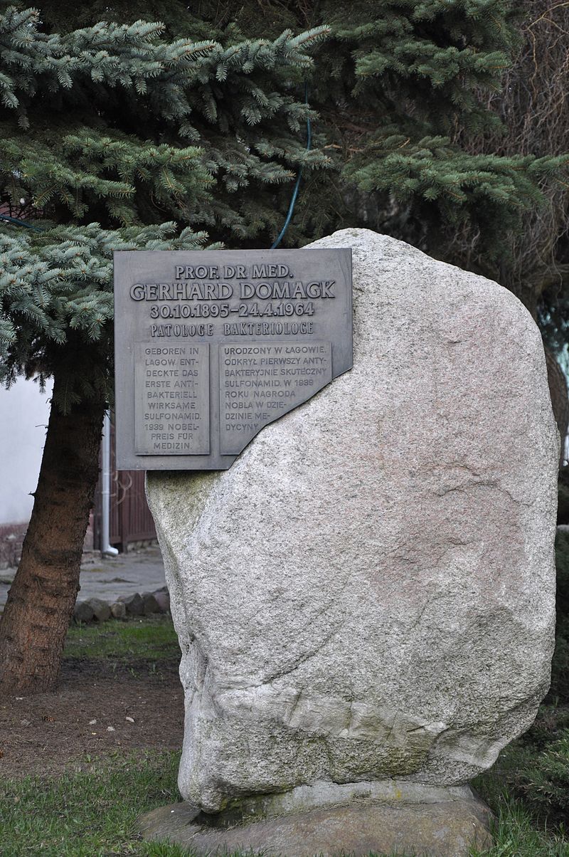 Gallery of Gerhard Domagk
