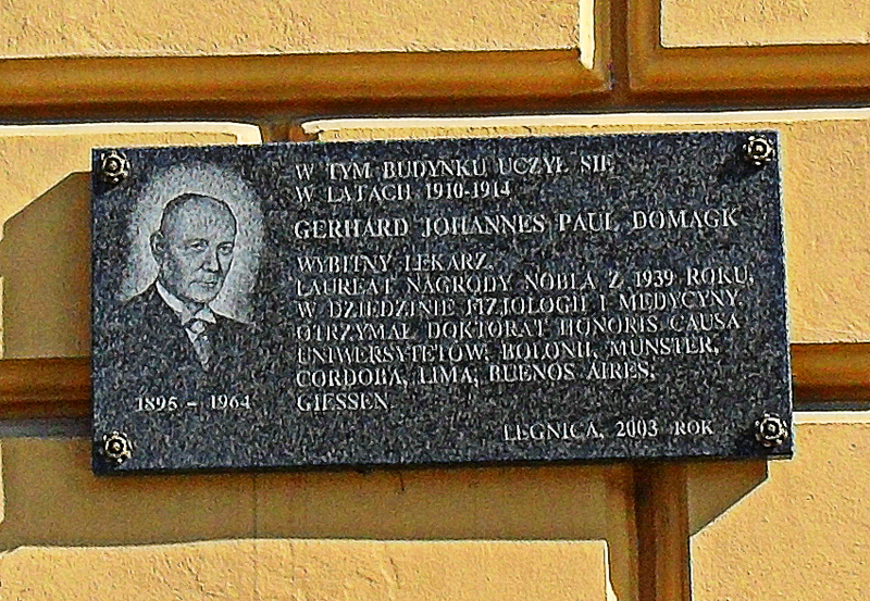 Gallery of Gerhard Domagk