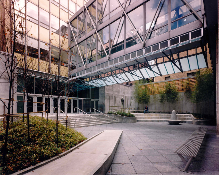 Gallery of Patricia Roche