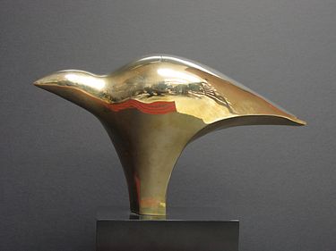 IRI Achievement Award