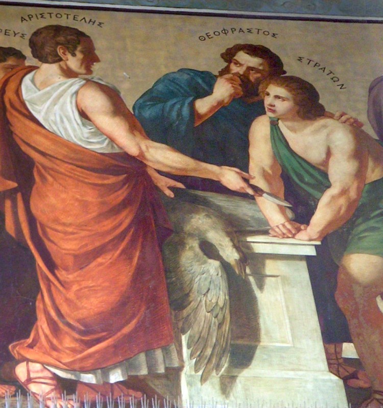 teacher: Strato of Lampsacos
