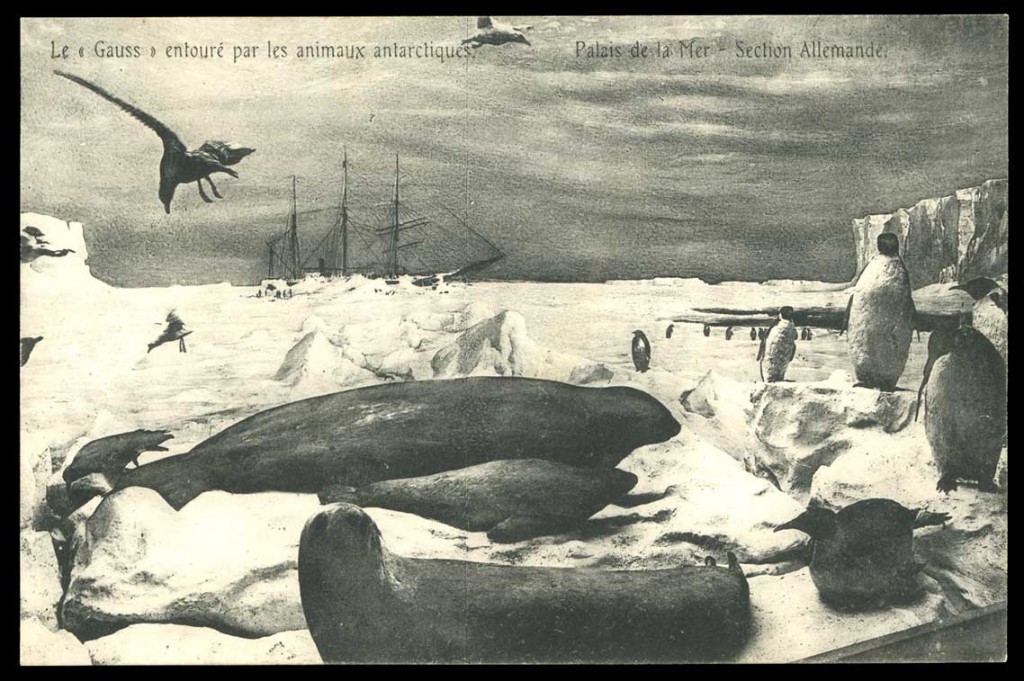 Gallery of Erich von Drygalski