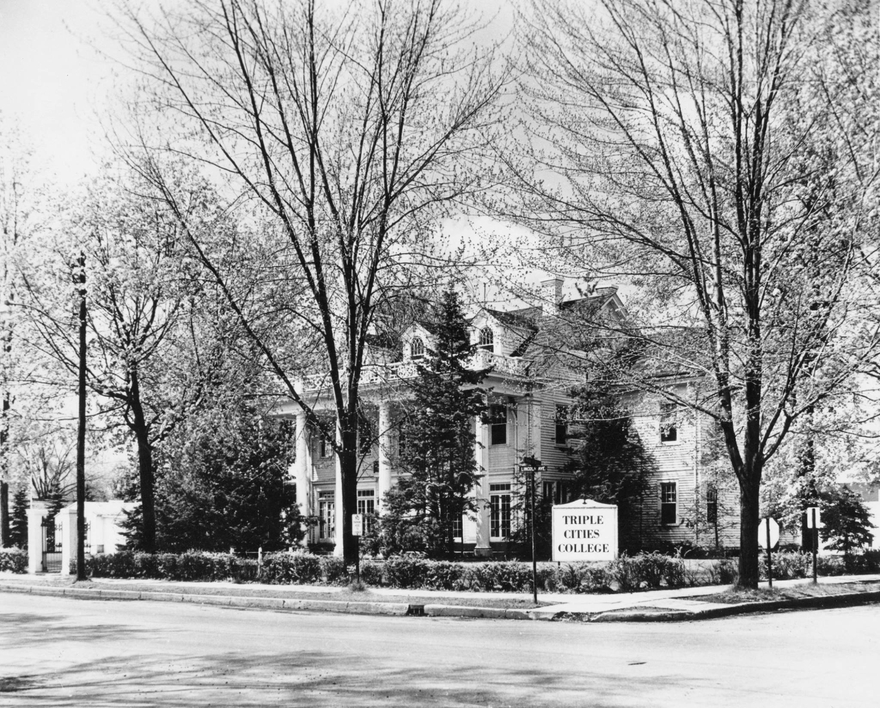 Gallery of Felix Bernstein