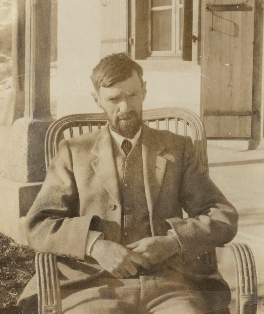 Gallery of D. H. Lawrence