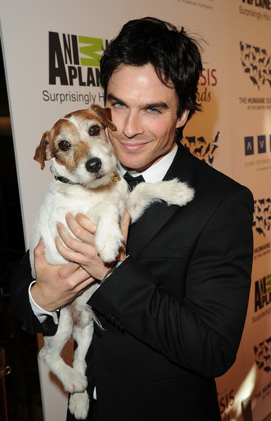 Gallery of Ian Somerhalder