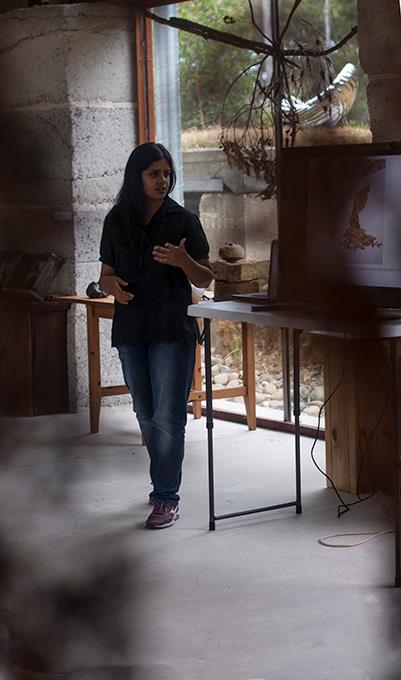 Gallery of Nandita Mukand